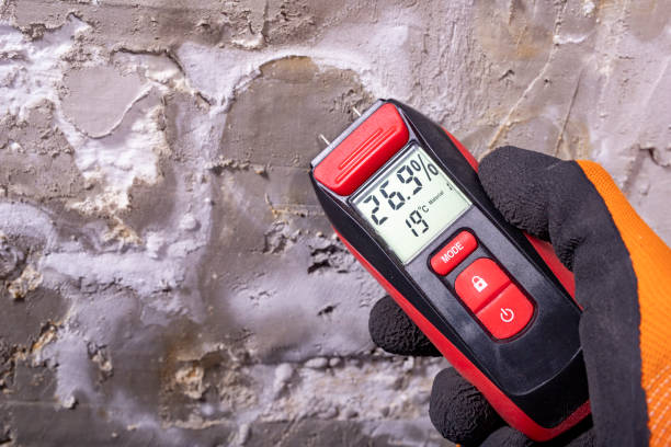 Best Toxic Mold Removal  in Piru, CA